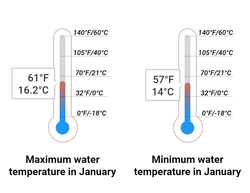 Average Sea temperature